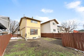 Photo 26: 4419 58 Street NE in Calgary: Temple Detached for sale : MLS®# A2127563