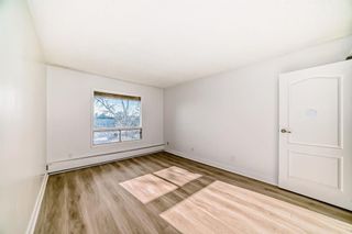 Photo 14: 305 1712 38 Street SE in Calgary: Forest Lawn Apartment for sale : MLS®# A2124805