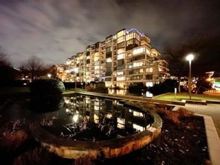 Photo 25: 311 456 MOBERLY Road in Vancouver: False Creek Condo for sale in "Pacific Cove" (Vancouver West)  : MLS®# R2823387