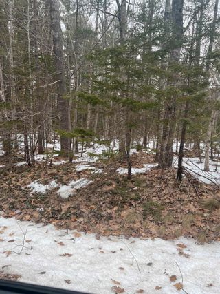 Photo 2: Lot Brow Of Mountain Road in Brow Of The Mountain: Kings County Vacant Land for sale (Annapolis Valley)  : MLS®# 202304568