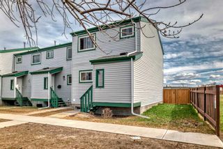 Photo 38: 34 131 Templehill Drive NE in Calgary: Temple Row/Townhouse for sale : MLS®# A2128849