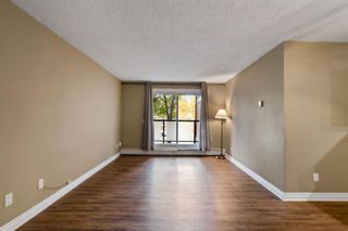 Photo 13: 202 1915 26 Street SW in Calgary: Killarney/Glengarry Apartment for sale : MLS®# A2017761
