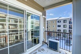Photo 41: 1309 215 Legacy Boulevard SE in Calgary: Legacy Apartment for sale : MLS®# A1165794