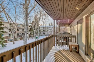 Photo 25: 28 3519 49 Street NW in Calgary: Varsity Apartment for sale : MLS®# A2011852