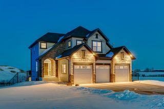 Photo 1: 142 Speargrass Crescent: Carseland Detached for sale : MLS®# A2033814