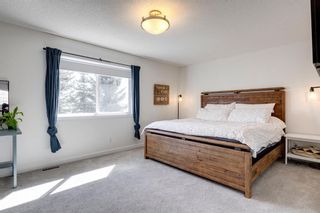 Photo 29: 114 Mt Gibraltar Heights SE in Calgary: McKenzie Lake Detached for sale : MLS®# A1201987