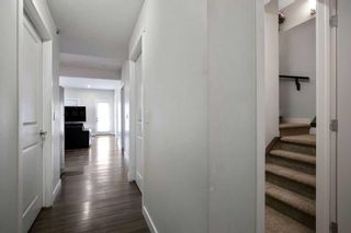Photo 33: 55 Walden Place SE in Calgary: Walden Detached for sale : MLS®# A2137419