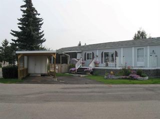 Photo 33: 178 3223 83 Street NW in Calgary: Greenwood/Greenbriar Mobile for sale : MLS®# A2126713