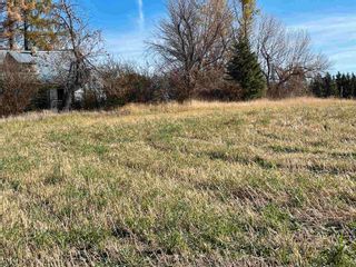 Photo 9: 1210 Hwy 39: Rural Leduc County Rural Land/Vacant Lot for sale : MLS®# E4266910