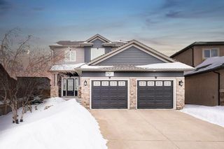 Photo 1: 119 Blue Sun Drive in Winnipeg: Sage Creek Residential for sale (2K)  : MLS®# 202303238