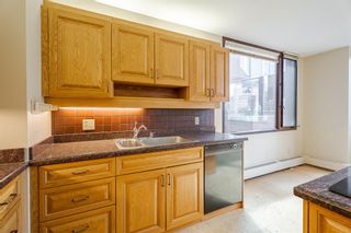 Photo 10: 502D 500 Eau Claire Avenue SW in Calgary: Eau Claire Apartment for sale : MLS®# A2054964