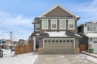 Photo 45: 100 Kinniburgh Close: Chestermere Detached for sale : MLS®# A2097798