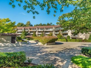 Photo 15: 206 4373 HALIFAX Street in Burnaby: Brentwood Park Condo for sale in "BRENT GARDENS" (Burnaby North)  : MLS®# R2622394