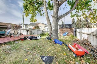 Photo 45: 17 Tararidge Drive NE in Calgary: Taradale Detached for sale : MLS®# A2003089