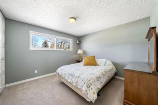Photo 16: 1 Cataract Road SW: High River Detached for sale : MLS®# A2031124