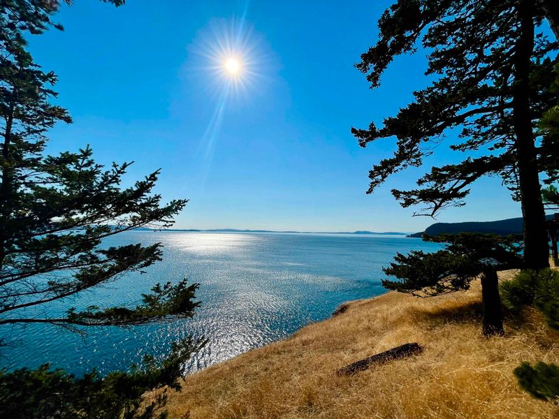 FEATURED LISTING: 168 CLIFFSIDE Road Saturna Island