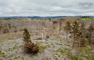 Photo 9: Lot 5 Shore Road in Ponds: 108-Rural Pictou County Vacant Land for sale (Northern Region)  : MLS®# 202410104