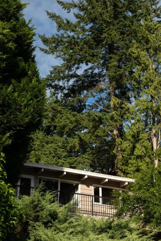 Photo 38: 508 GREENWAY Avenue in North Vancouver: Upper Delbrook House for sale : MLS®# R2709724