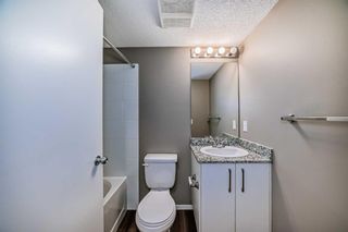 Photo 28: 2214 4641 128 Avenue NE in Calgary: Skyview Ranch Apartment for sale : MLS®# A2120636