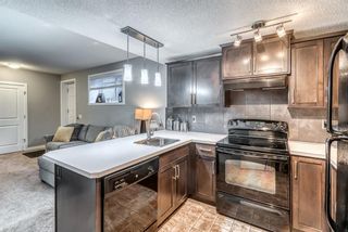 Photo 33: 34 Walden Court SE in Calgary: Walden Detached for sale : MLS®# A1179380