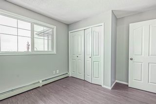 Photo 11: 3422 10 Prestwick Bay SE in Calgary: McKenzie Towne Apartment for sale : MLS®# A2022961