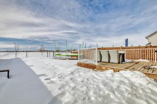 Photo 43: 99 Masters Green SE in Calgary: Mahogany Detached for sale : MLS®# A2034298
