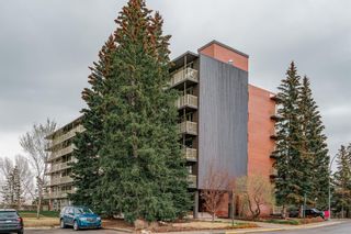 Photo 37: 505 3316 Rideau Place SW in Calgary: Rideau Park Apartment for sale : MLS®# A2045988