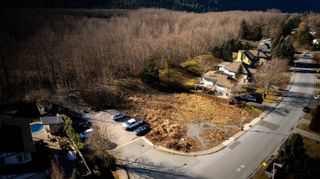 Photo 2: 1583 EAGLE RUN Drive in Squamish: Brackendale Land for sale : MLS®# R2851241