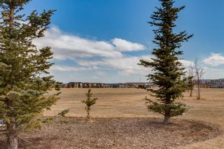 Photo 37: 139 Nolancrest Heights NW in Calgary: Nolan Hill Detached for sale : MLS®# A2036207