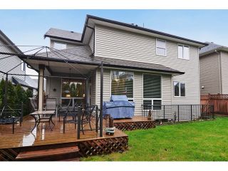 Photo 13: 21082 83B AV in Langley: Willoughby Heights House for sale : MLS®# f1432026