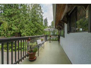 Photo 9: 4519 SOUTHRIDGE Crescent in Langley: Murrayville House for sale in "Murrayville" : MLS®# R2473798