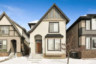 Main Photo: 284 MARQUIS Heights SE in Calgary: Mahogany Detached for sale : MLS®# A2117034