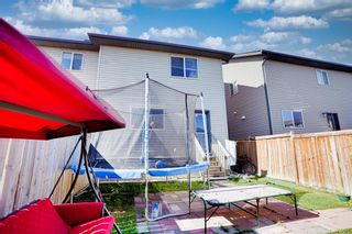 Photo 36: 44 Skyview Ranch Lane NE in Calgary: Skyview Ranch Semi Detached (Half Duplex) for sale : MLS®# A1258951