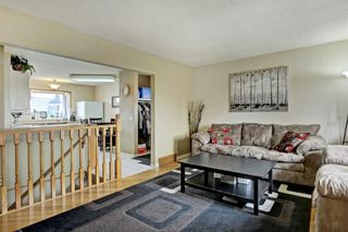 Photo 4: 3303 39 Street SE in Calgary: Dover Detached for sale : MLS®# A1084861