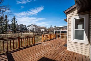 Photo 35: 27 Cranfield Circle SE in Calgary: Cranston Detached for sale : MLS®# A2123206
