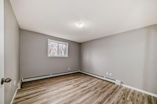 Photo 10: 101 11 Dover Point SE in Calgary: Dover Apartment for sale : MLS®# A2123034