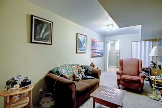Photo 18: 169 Falsby Road NE in Calgary: Falconridge Semi Detached (Half Duplex) for sale : MLS®# A1252532