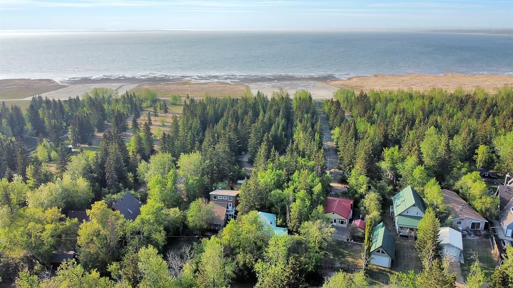 Main Photo: 71 Lakeview Avenue: Gull Lake Residential Land for sale : MLS®# A2050508