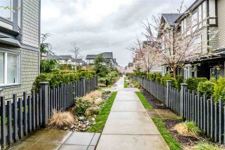 Photo 37: 38 8138 204 Street in Langley: Willoughby Heights Townhouse for sale in "ASHBURY & OAK" : MLS®# R2560936