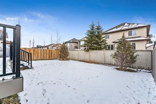 Photo 43: 11 Baywater Court SW: Airdrie Detached for sale : MLS®# A1055709