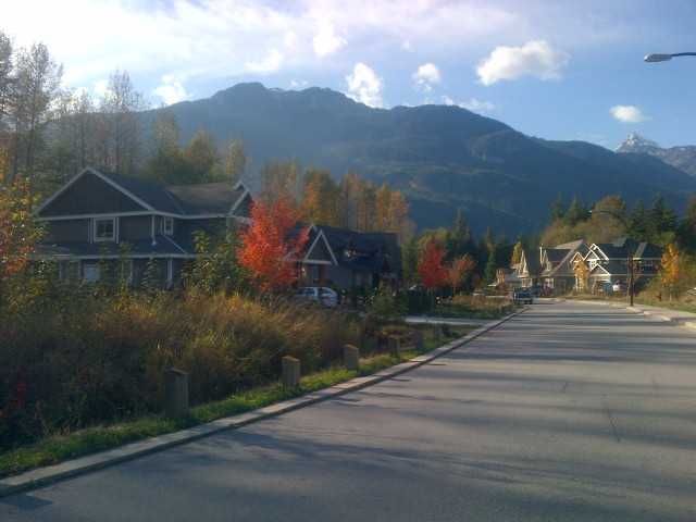 Main Photo: 41436 DRYDEN Road in Squamish: Brackendale Land for sale in "BRACKEN ARMS" : MLS®# V921507