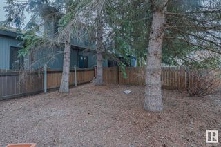 Photo 48: 175 WOLF WILLOW Crescent in Edmonton: Zone 22 House for sale : MLS®# E4378015