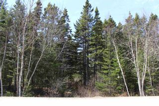 Photo 5: 88 Otter Point in East Chester: 405-Lunenburg County Vacant Land for sale (South Shore)  : MLS®# 202119232