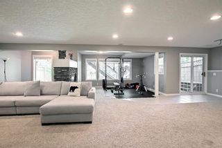 Photo 39: 167 Mt Assiniboine Circle SE in Calgary: McKenzie Lake Detached for sale : MLS®# A1243199