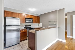Photo 4: 203 1027 1 Avenue NW in Calgary: Sunnyside Apartment for sale : MLS®# A1234036