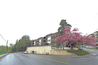Photo 2: 317 2551 WILLOW Lane in Abbotsford: Central Abbotsford Condo for sale in "Valley View Manor" : MLS®# R2197974
