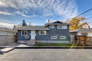 Photo 29: 36 Fay Road SE in Calgary: Fairview Detached for sale : MLS®# A1155059