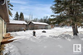 Photo 31: 120 Crystal Springs: Rural Wetaskiwin County House for sale : MLS®# E4330240