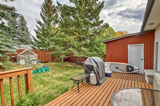 Photo 25: 5931 Dalhousie Drive NW in Calgary: Dalhousie Detached for sale : MLS®# A2082930