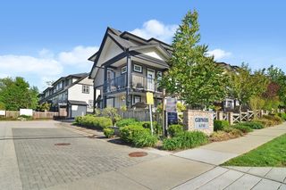 Main Photo: 79 6350 142 Street in Surrey: Sullivan Station Townhouse for sale in "Canvas" : MLS®# R2874474